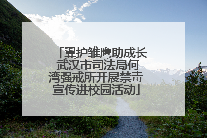 翼护雏鹰助成长 武汉市司法局何湾强戒所开展禁毒宣传进校园活动