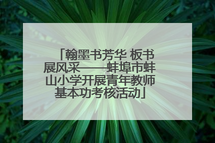 翰墨书芳华 板书展风采——蚌埠市蚌山小学开展青年教师基本功考核活动
