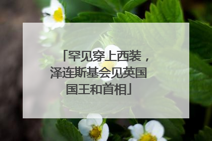 罕见穿上西装，泽连斯基会见英国国王和首相