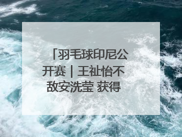 羽毛球印尼公开赛｜王祉怡不敌安洗莹 获得女单亚军