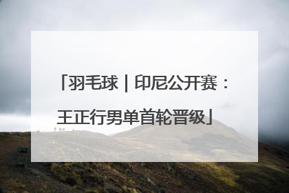 羽毛球｜印尼公开赛：王正行男单首轮晋级