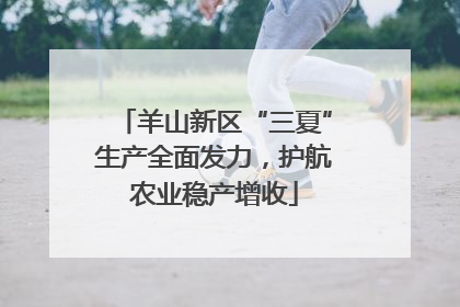 羊山新区“三夏”生产全面发力，护航农业稳产增收