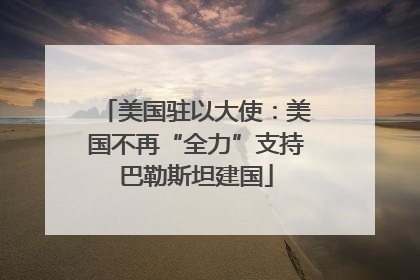 美国驻以大使：美国不再“全力”支持巴勒斯坦建国