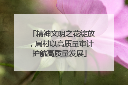 精神文明之花绽放，周村以高质量审计护航高质量发展