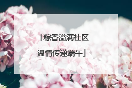 粽香溢满社区 温情传递端午