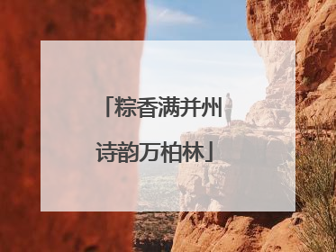 粽香满并州 诗韵万柏林