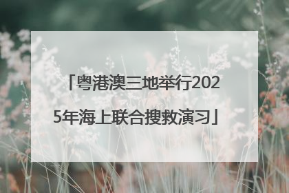 粤港澳三地举行2025年海上联合搜救演习
