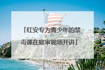 红安专为青少年的禁毒课在庭审现场开讲