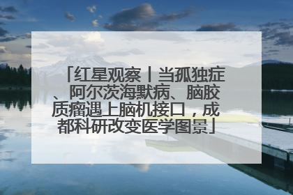 红星观察丨当孤独症、阿尔茨海默病、脑胶质瘤遇上脑机接口，成都科研改变医学图景