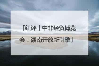 红评丨中非经贸博览会：湖南开放新引擎