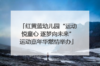 红黄蓝幼儿园“运动悦童心 逐梦向未来”运动嘉年华燃情举办