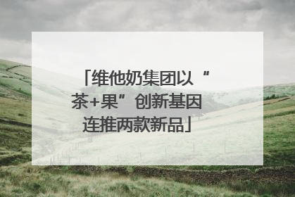 维他奶集团以“茶+果”创新基因连推两款新品