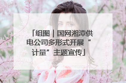 组图｜国网湘潭供电公司多形式开展“计量”主题宣传