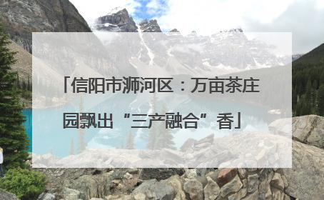 信阳市浉河区：万亩茶庄园飘出“三产融合”香