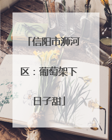 信阳市浉河区：葡萄架下日子甜