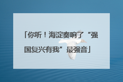 你听！海淀奏响了“强国复兴有我”最强音