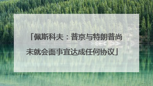 佩斯科夫：普京与特朗普尚未就会面事宜达成任何协议
