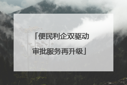 便民利企双驱动 审批服务再升级