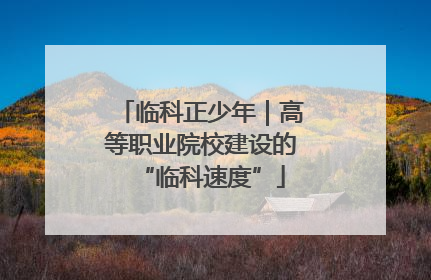 临科正少年｜高等职业院校建设的“临科速度”