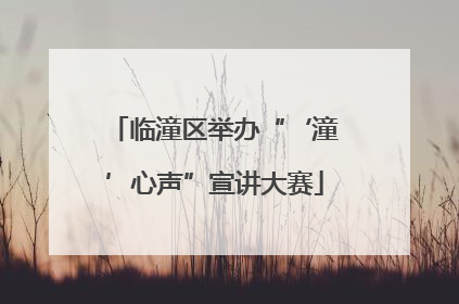 临潼区举办“‘潼’心声”宣讲大赛
