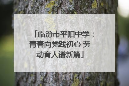 临汾市平阳中学：青春向党践初心 劳动育人谱新篇