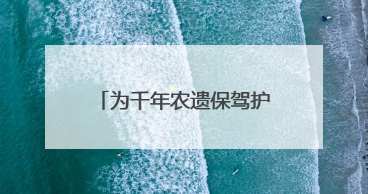 为千年农遗保驾护航！《丽水市青田稻鱼共生系统保护发展条例》正式施行