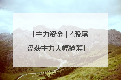 主力资金｜4股尾盘获主力大幅抢筹