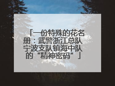 一份特殊的花名册：武警浙江总队宁波支队镇海中队的“精神密码”