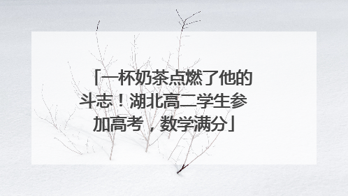 一杯奶茶点燃了他的斗志！湖北高二学生参加高考，数学满分