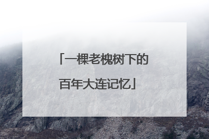 一棵老槐树下的百年大连记忆