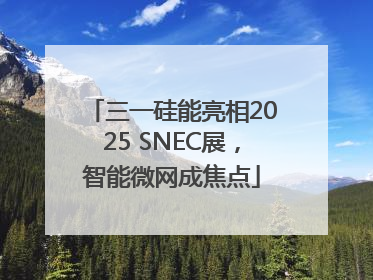三一硅能亮相2025 SNEC展，智能微网成焦点