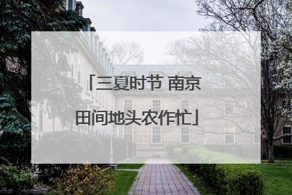 三夏时节 南京田间地头农作忙