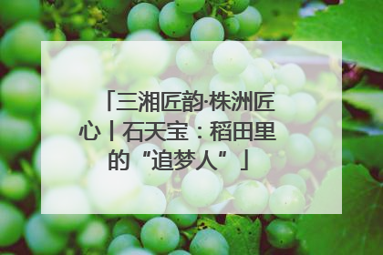 三湘匠韵·株洲匠心丨石天宝：稻田里的“追梦人”