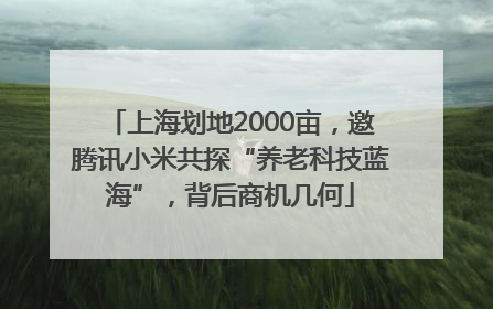 上海划地2000亩，邀腾讯小米共探“养老科技蓝海”，背后商机几何