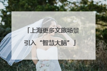 上海更多文旅场景引入“智慧大脑”