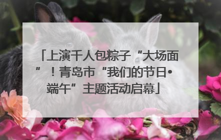 上演千人包粽子“大场面”！青岛市“我们的节日•端午”主题活动启幕