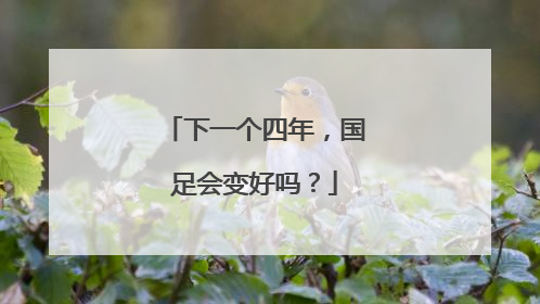 下一个四年，国足会变好吗？