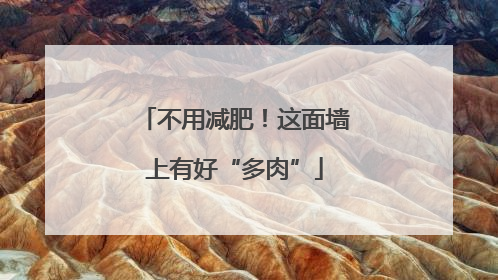 不用减肥！这面墙上有好“多肉”