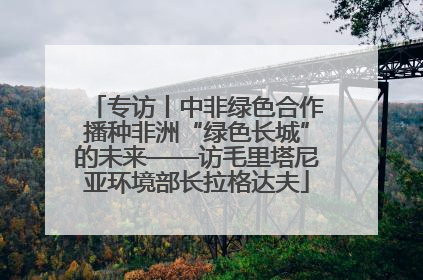 专访丨中非绿色合作播种非洲“绿色长城”的未来——访毛里塔尼亚环境部长拉格达夫