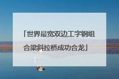 世界最宽双边工字钢组合梁斜拉桥成功合龙