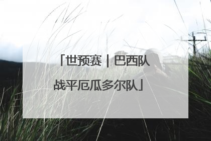 世预赛｜巴西队战平厄瓜多尔队