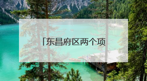 东昌府区两个项目获评“聊城市2024年度法治为民实事”项目