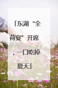 东湖“全荷宴”开席，一口吃掉夏天