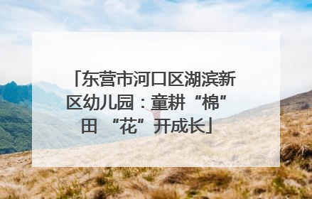 东营市河口区湖滨新区幼儿园：童耕“棉”田 “花”开成长