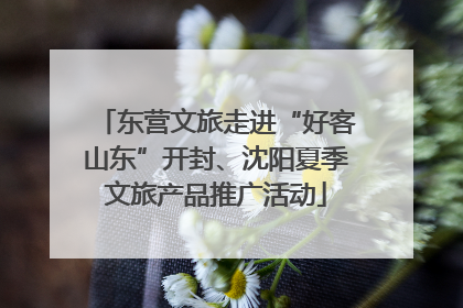 东营文旅走进“好客山东”开封、沈阳夏季文旅产品推广活动