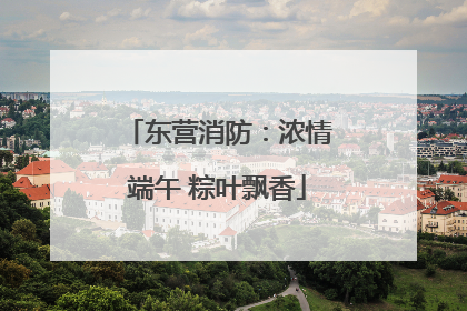 东营消防：浓情端午 粽叶飘香