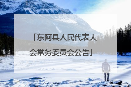 东阿县人民代表大会常务委员会公告