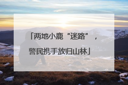 两地小鹿“迷路”，警民携手放归山林
