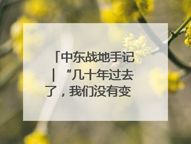 中东战地手记｜“几十年过去了，我们没有变得更安全”