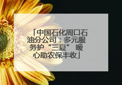 中国石化周口石油分公司：多元服务护“三夏” 暖心助农保丰收